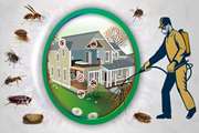 برگزاری آزمون تعیین صلاحیت مسئولان فنی شرکت‌های خدماتی مبارزه با حشرات و جانوران موذی در اماکن عمومی و خانگی