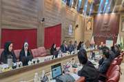 برگزاری اولین جلسه شورای پشتیبانی سوادآموزی ادارات کل آموزش و پرورش شهر و شهرستان‌های تهران 