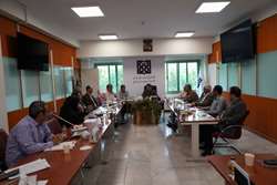 تأکید معاون توسعه مدیریت و برنامه‌ریزی منابع بر «جذب نیرو متناسب با کارسنجی» در دانشگاه علوم پزشکی تهران 