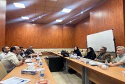 برگزاری نشست کمیته کارشناسان منتخب با حضور اعضای کمیته در ستاد مرکزی دانشگاه