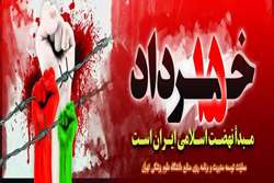 پیام تسلیت معاون توسعه دانشگاه علوم پزشکی تهران به مناسبت سالگرد قیام پانزده خرداد