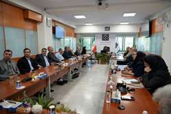 معاونت توسعه دانشگاه علوم پزشکی تهران در مسیر اصلاح فرآیندها، تمرکز بر هوشمندسازی خدمات و صیانت از حقوق همکاران