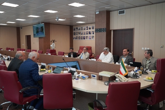 نشست تخصصی بررسی اختیارات مجتمع بیمارستانی امام خمینی(ره) 