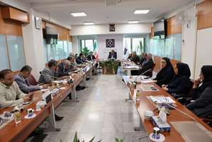 حرکات نوین و پیشرو در معاونت توسعه؛ از تاب‌آوری سازمانی تا درخشش در دوران بحران